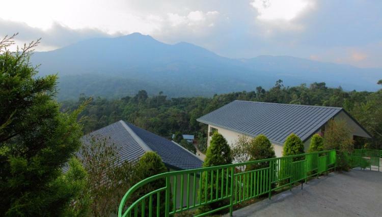 Hotel Blossom Hill Munnar Devikolam Exteriér fotografie